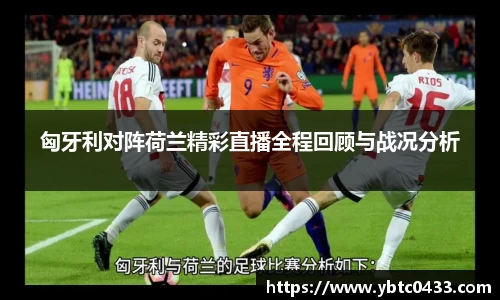 金年会下载
