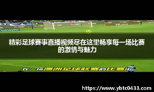 金年会下载