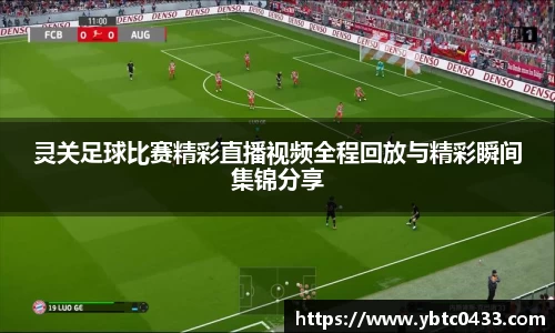 金年会APP