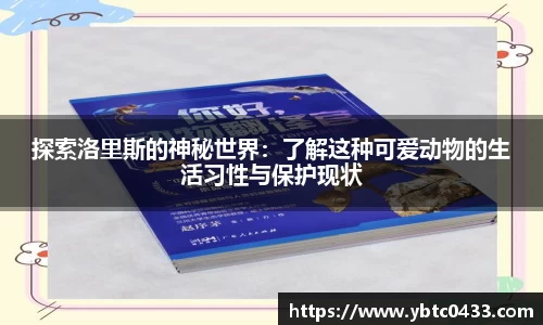 金年会APP