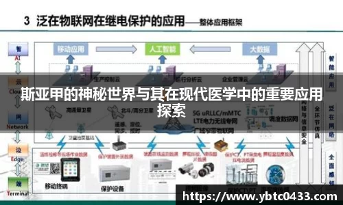 金年会APP